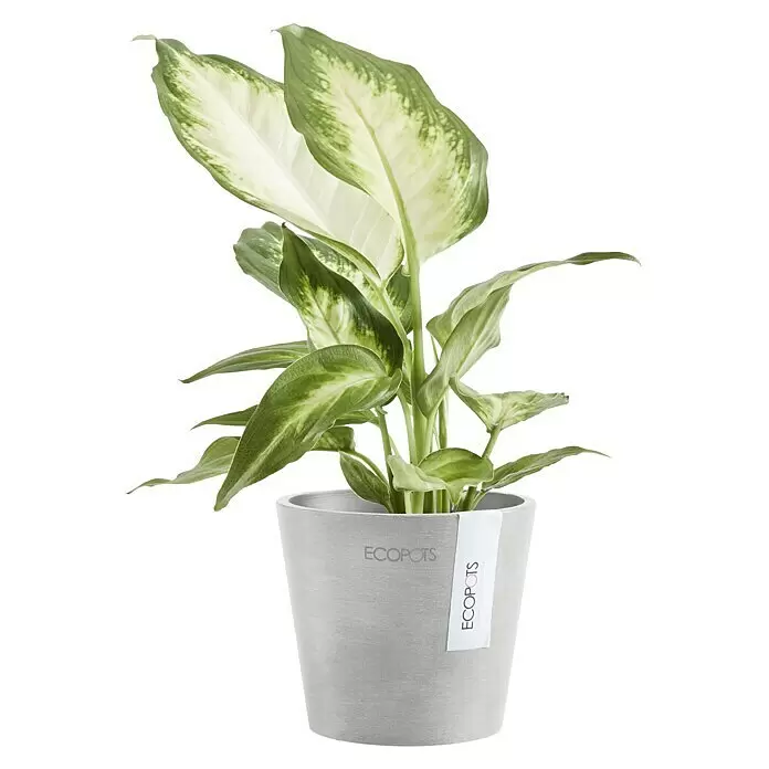 Ecopots Amsterdam Pflanztopf MiniAußenmaß (Ø x H): 10,5 x 9,2 cm, Kunststoff, Weiß, Grau