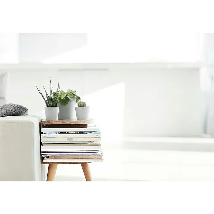 Ecopots Amsterdam Pflanztopf Mini - Außenmaß (Ø x H): 8 x 7 cm, Kunststoff, Weiß, Grau - Minimalistisches Interieur mit kleinen Pflanzen, die auf einem Beistelltisch aus Büchern neben einem weißen Sofa stehen.