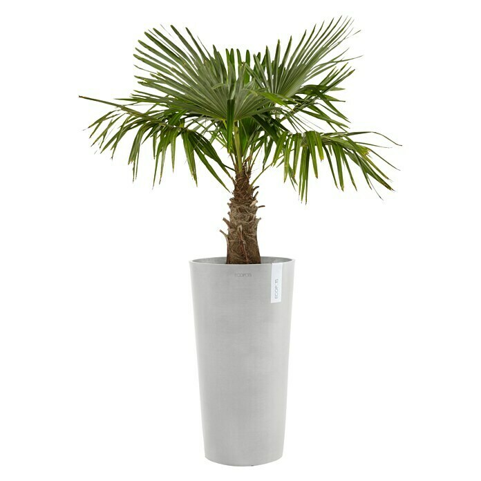 Ecopots Amsterdam Pflanzsäule rund High (Außenmaß (Ø x H): 41 x 76 cm, Kunststoff, Weiß, Grau) | BAUHAUS