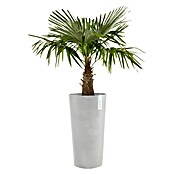 Ecopots Amsterdam Pflanzsäule rund High (Außenmaß (Ø x H): 50 x 90 cm, Kunststoff, Weiß, Grau) | BAUHAUS