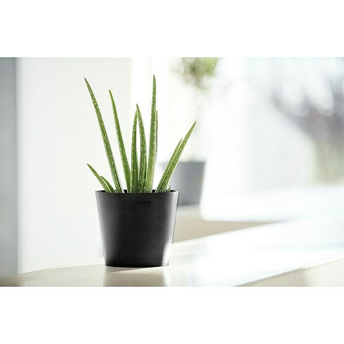 Ecopots Amsterdam Pflanztopf Mini (Außenmaß (Ø x H): 17 x 14,9 cm, Kunststoff, Dunkelgrau) | BAUHAUS