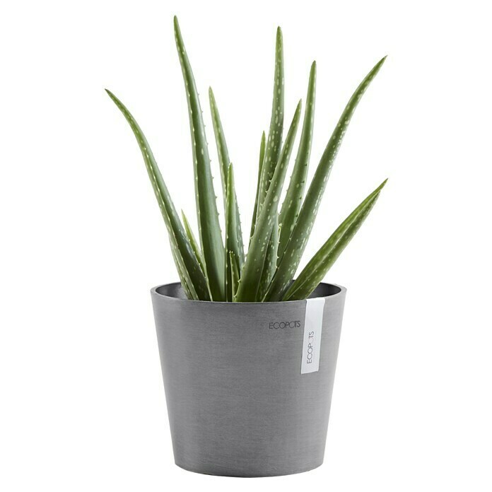 Ecopots Amsterdam Pflanztopf Amsterdam (Außenmaß (Ø x H): 17 x 14,9 cm, Kunststoff, Grau) | BAUHAUS