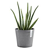 Ecopots Amsterdam Pflanztopf Amsterdam (Außenmaß (Ø x H): 17 x 14,9 cm, Kunststoff, Grau) | BAUHAUS