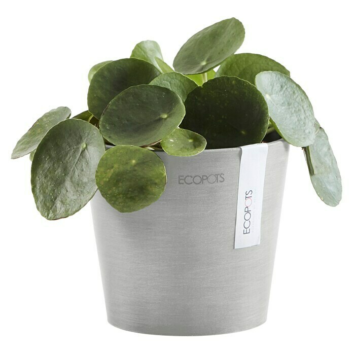 Ecopots Amsterdam Pflanztopf Mini (Außenmaß (Ø x H): 13 x 11,4 cm, Kunststoff, Weiß, Grau) | BAUHAUS