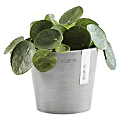 Ecopots Amsterdam Pflanztopf Mini (Außenmaß (Ø x H): 13 x 11,4 cm, Kunststoff, Weiß, Grau) | BAUHAUS