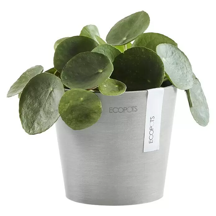 Ecopots Amsterdam Pflanztopf MiniAußenmaß (Ø x H): 13 x 11,4 cm, Kunststoff, Weiß, Grau