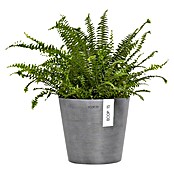 Ecopots Amsterdam Pflanztopf Wall (Außenmaß (Ø x H): 20 x 17,5 cm, Kunststoff, Grau) | BAUHAUS