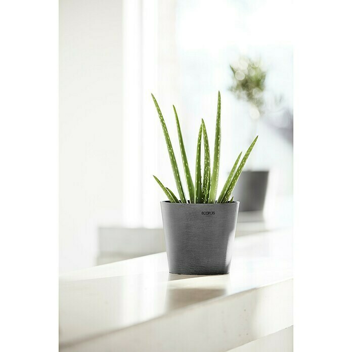 Ecopots Amsterdam Pflanztopf Amsterdam (Außenmaß (Ø x H): 17 x 14,9 cm, Kunststoff, Grau) | BAUHAUS