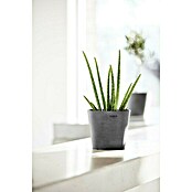Ecopots Amsterdam Pflanztopf Amsterdam (Außenmaß (Ø x H): 17 x 14,9 cm, Kunststoff, Grau) | BAUHAUS