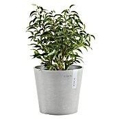 Ecopots Amsterdam Pflanztopf Mini (Außenmaß (Ø x H): 17 x 14,9 cm, Kunststoff, Weiß, Grau) | BAUHAUS