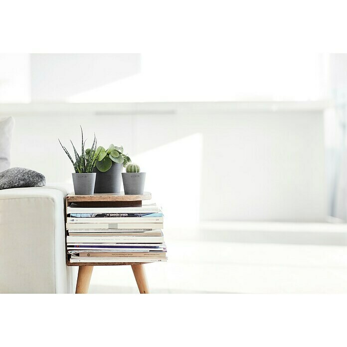 Ecopots Amsterdam Pflanztopf Amsterdam (Außenmaß (Ø x H): 13 x 11,4 cm, Kunststoff, Grau) | BAUHAUS