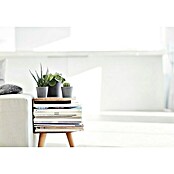 Ecopots Amsterdam Pflanztopf Amsterdam (Außenmaß (Ø x H): 13 x 11,4 cm, Kunststoff, Grau) | BAUHAUS