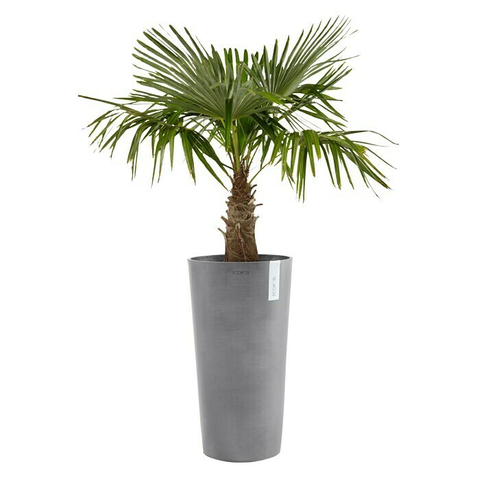 Ecopots Amsterdam Pflanzsäule rund Mid High (Außenmaß (Ø x H): 34 x 66 cm, Kunststoff, Grau) | BAUHAUS