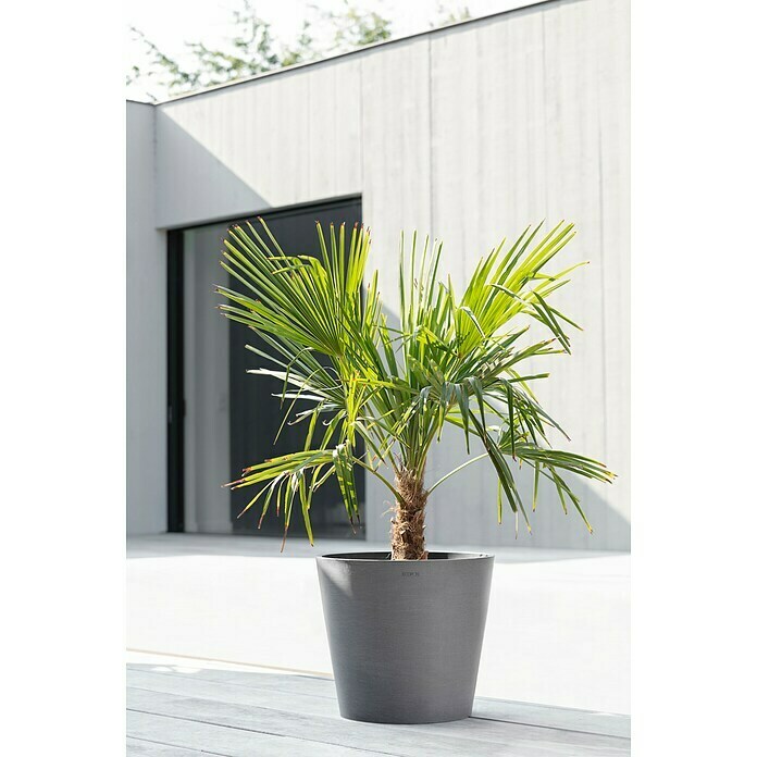 Ecopots Amsterdam Pflanzkübel rund (Außenmaß (Ø x H): 40 x 35 cm, Kunststoff, Grau, Mit Bewässerungssystem) | BAUHAUS