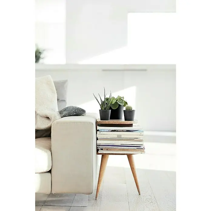 Ecopots Amsterdam Pflanztopf Mini - Außenmaß (Ø x H): 13 x 11,4 cm, Kunststoff, Dunkelgrau - Bücher dienen als Beistelltisch mit Pflanzen in schwarzen Töpfen. Die Bücher mit Beinen sind neben einem bequemen hellen Sofa platziert.