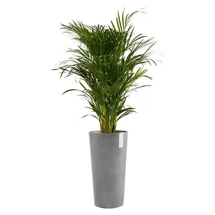 Ecopots Amsterdam Pflanzsäule rund HighAußenmaß (Ø x H): 50 x 90 cm, Kunststoff, Grau
