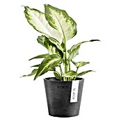 Ecopots Amsterdam Pflanztopf Mini (Außenmaß (Ø x H): 10,5 x 9,2 cm, Kunststoff, Dunkelgrau) | BAUHAUS