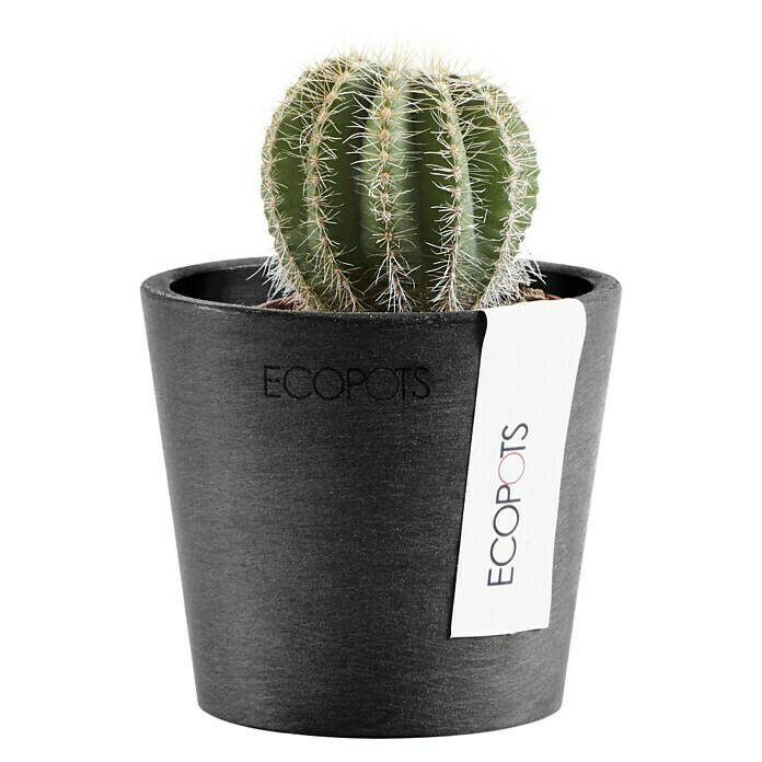 Ecopots Amsterdam Pflanztopf Mini (Außenmaß (Ø x H): 8 x 7 cm, Kunststoff, Dunkelgrau) | BAUHAUS