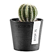 Ecopots Amsterdam Pflanztopf Mini (Außenmaß (Ø x H): 8 x 7 cm, Kunststoff, Dunkelgrau) | BAUHAUS