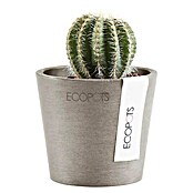 Ecopots Amsterdam Pflanztopf Mini (Außenmaß (Ø x H): 8 x 7 cm, Kunststoff, Braungrau) | BAUHAUS