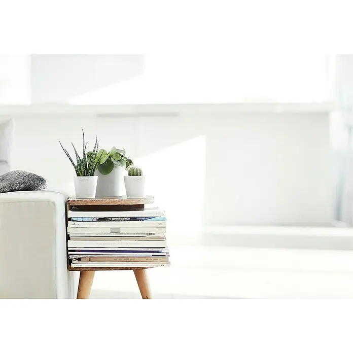 Ecopots Amsterdam Pflanztopf Mini - Außenmaß (Ø x H): 13 x 11,4 cm, Kunststoff, Weiß - Pflanzen in weißen Töpfen auf einem Stapel Bücher, die auf einem kleinen Tisch neben einem weißen Sofa stehen.