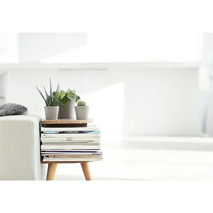 Ecopots Amsterdam Pflanztopf Mini - Außenmaß (Ø x H): 8 x 7 cm, Kunststoff, Braungrau - Drei Ecopots-Pflanzgefäße mit Sukkulenten und Kakteen auf einem Bücherstapel, der als Beistelltisch neben einem Sofa dient.