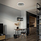 Brilliant LED-Deckenleuchte rund Tanida (22 W, Ø x H: 29,5 x 2,5 cm, Schwarz, Neutralweiß) | BAUHAUS