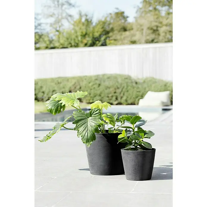 Ecopots Amsterdam Pflanzkübel rund - Außenmaß (Ø x H): 30 x 25,9 cm, Kunststoff, Dunkelgrau, Mit Bewässerungssystem - Zwei schwarze Pflanzgefäße mit grünen Pflanzen stehen im Freien und verschönern mit ihrem Aussehen den Aussenbereich des Hauses.