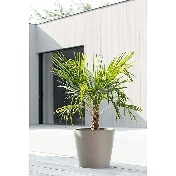 Ecopots Amsterdam Pflanzkübel rund (Außenmaß (Ø x H): 40 x 35 cm, Kunststoff, Braungrau, Mit Bewässerungssystem) | BAUHAUS