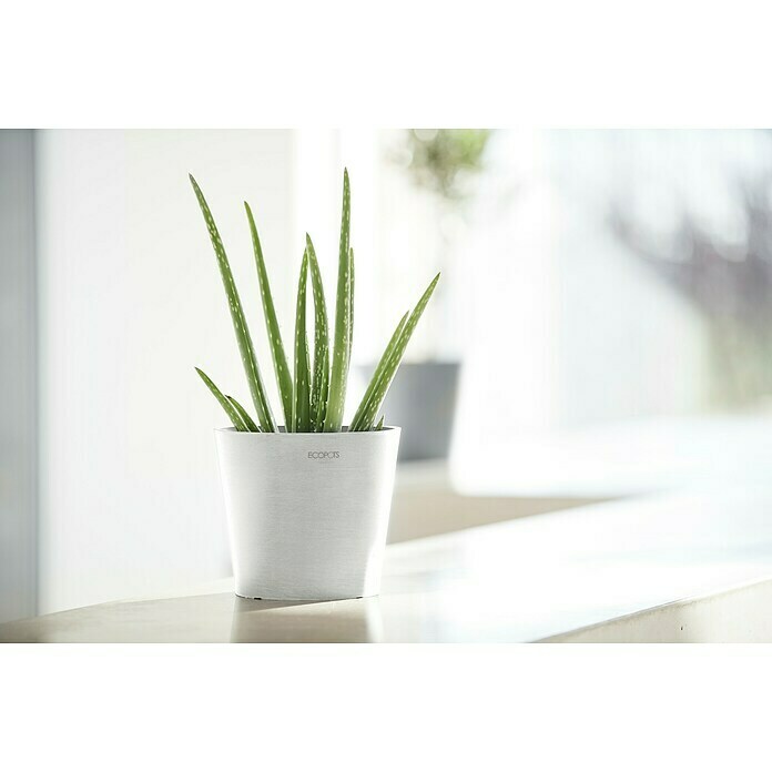 Ecopots Amsterdam Pflanztopf Mini (Außenmaß (Ø x H): 17 x 14,9 cm, Kunststoff, Weiß) | BAUHAUS