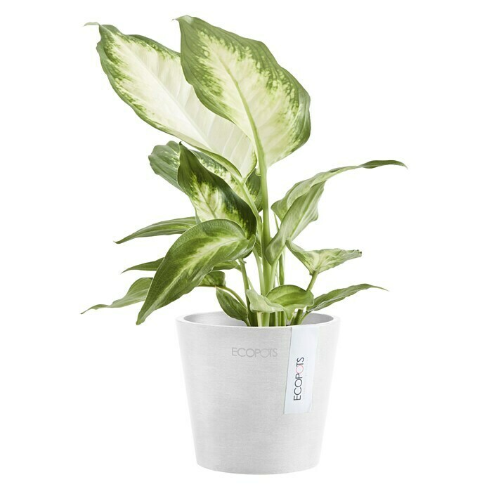 Ecopots Amsterdam Pflanztopf Mini (Außenmaß (Ø x H): 10,5 x 9,2 cm, Kunststoff, Weiß) | BAUHAUS