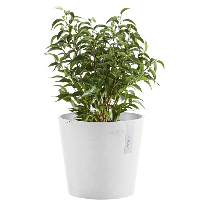 Ecopots Amsterdam Pflanztopf Mini (Außenmaß (Ø x H): 17 x 14,9 cm, Kunststoff, Weiß) | BAUHAUS