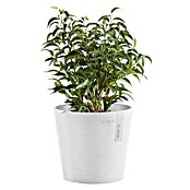 Ecopots Amsterdam Pflanztopf Mini (Außenmaß (Ø x H): 17 x 14,9 cm, Kunststoff, Weiß) | BAUHAUS