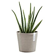 Ecopots Amsterdam Pflanztopf Mini (Außenmaß (Ø x H): 17 x 14,9 cm, Kunststoff, Braungrau) | BAUHAUS