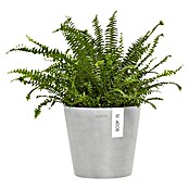 Ecopots Amsterdam Pflanztopf Wall (Außenmaß (Ø x H): 20 x 17,5 cm, Kunststoff, Weiß, Grau) | BAUHAUS