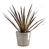 Ecopots Amsterdam Pflanztopf Mini (Außenmaß (Ø x H): 13 x 11,4 cm, Kunststoff, Braungrau) | BAUHAUS