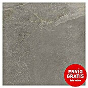 Halcón Pavimento porcelánico Tempo (60,5 x 60,5 cm, Dark, Mate, Clase 3 Antideslizante) | BAUHAUS