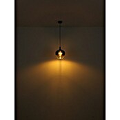 Globo Lámpara colgante Maxy (Número de bombillas: 1 ud., 40 W, Ø x Al: 24 x 120 cm, E27) | BAUHAUS