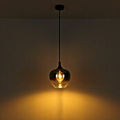 Globo Lámpara colgante Maxy (Número de bombillas: 1 ud., 40 W, Ø x Al: 24 x 120 cm, E27) | BAUHAUS