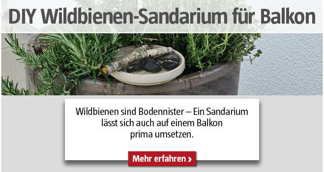 Kategorieteaser DIY Tiere Sandarium Balkon