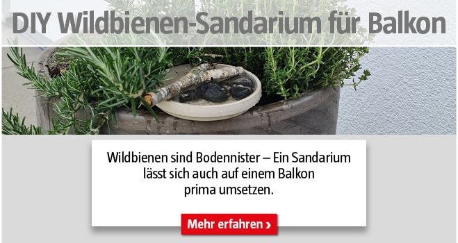 Kategorieteaser DIY Tiere Sandarium Balkon