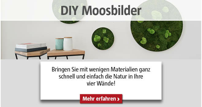 DIY Moosbild