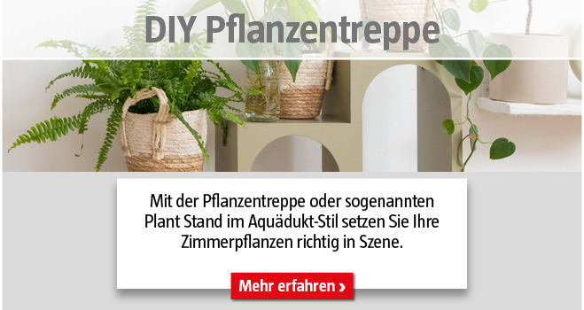 Kategorieteaser DIY Wohnraum - Pflanzentreppe