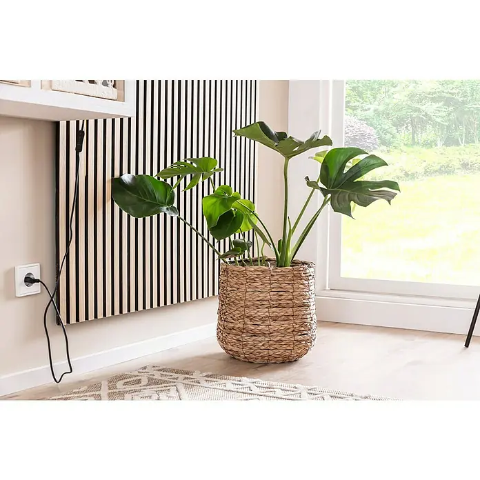 Mica Decorations Übertopf rund Avalon - Außenmaß (Ø x H): 18 x 21 cm, Hellbraun - Zimmerpflanze Monstera deliciosa in einem Korbgefäß neben einer Wand mit Holzpaneelen und einer Steckdose.