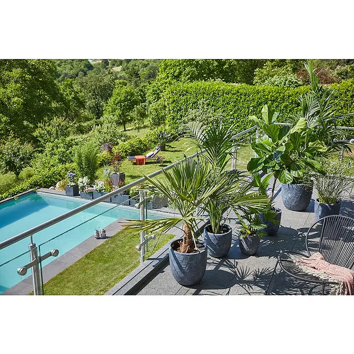 Piardino Hanfpalme - Trachycarpus fortunei, Topfgröße: 30 cm - Ein entspannender Außenbereich mit einer Auswahl an stilvollen Pflanzgefäßen, die mit tropischen Pflanzen gefüllt sind und eine ruhige Atmosphäre schaffen.