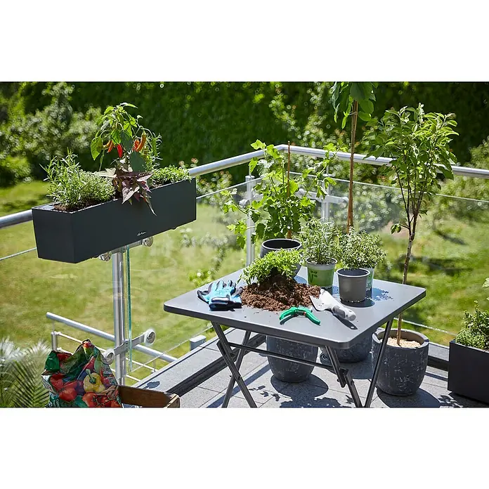 Piardino Peperoni - Capsicum peperomia, 14 cm, Erntezeit: Juli - Gartenszene auf einem Balkon mit einem Tisch voller Pflanzen, Erde und Werkzeugen, inklusive eines Lechuza-Balkonkastens.