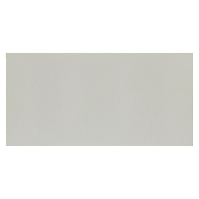 Regalux Fachboden (50 x 100 cm, Grau)