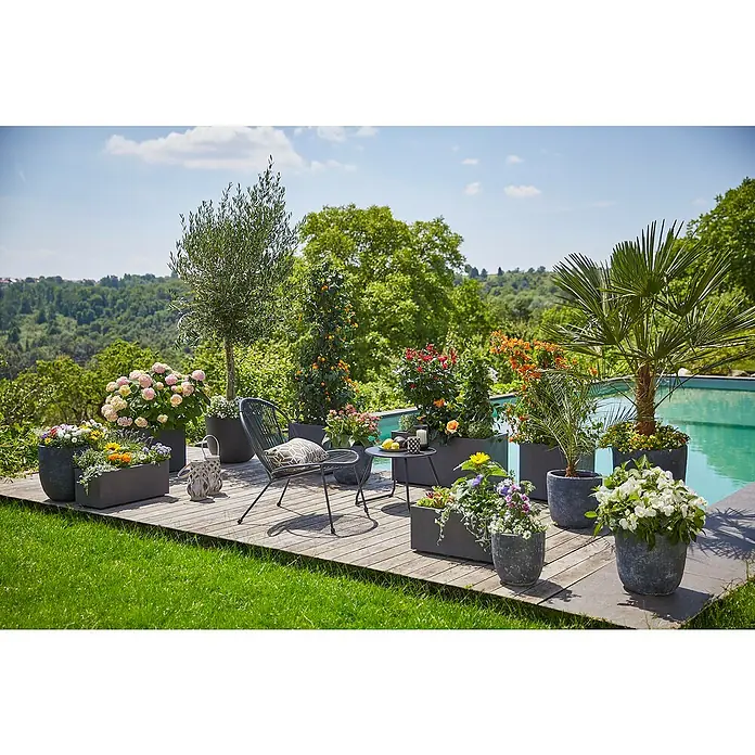 Piardino StrauchroseRosa x 'Zepeti'®, Topfvolumen: 5 l, Rubinrot - Eine malerische Gartenszene mit stilvollen Pflanzgefäßen, die üppige Blumen und Pflanzen beherbergen, um eine entspannende Atmosphäre zu schaffen.