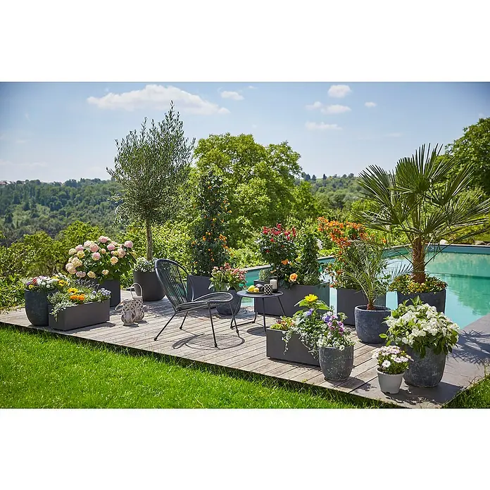 Piardino Hortensie - Hydrangea macrophylla Magical ® / Hydrangea Diva Fiore ®, Blütenfarbe: Artenabhängig - Außenaufnahme einer Sammlung von stilvollen Pflanzgefäßen mit üppigen Pflanzen auf einer Holzterrasse, die eine ruhige Gartenszene darstellt.