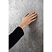 Egger Wandpaneel DecoWall (Rovigo Beton, 1.250 x 660 x 12 mm, 3 Stk.) | BAUHAUS